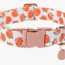 UP URARA PUP Halloween Dog Collar with Metal Buckle Gift Fall Dog Collar for Small Medium Large Girls or Boys Dogs Cute Pumpkin Cotton Pet Collars