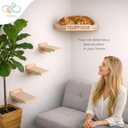 Cat Wall Shelves for Cats & Kitten up to 25 lb Solid Wood Cozy Corner Bed + Cushion with 2 Washable Covers +3 Wooden Steps, Safe Haven for Indoor Cats, Cat Shelves for Wall, Wood Color
