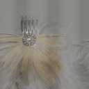 Latious Flapper Feather Hair Comb White Crystal Bridal 1920s Hair Clip Fascinator Hair Accessories for Women