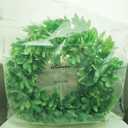 4 Packs Artificial Boxwood Wreaths 12 Inches Faux Greenery Leaves Wreath for Front Doors, Windows, Hanging Wall, Wedding Party, and Home Decorations UltraOutlet Artificial Christmas Garlands