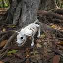 Seasons Crazy Bonez Pig Skeleton Halloween Decoration  14.75 Long Realistic Farm Animal Skeleton, Durable All-Weather Plastic Prop for Indoor & Outdoor Spooky Farmhouse Decor (Standard)