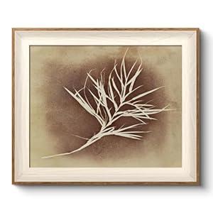 VIYYIEA Framed Wall Art for Living Room, Herbarium Canvas Prints, Vintage Home Decor, Flowers Painting Picture, Bathroom Wall Decor Gifts for Friends or Family -【Herbarium】-(12L x 10W)