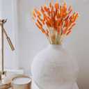 CISDUEO 120pcs Dried Bunny Tails Flowers Orange Lagurus Ovatus Tail Dried Flowers Pampas Grass Natural Dried Floral Arrangement for Boho Fall Decor Autumn Wedding DIY Farmhouse Christmas Halloween