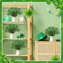 Nitial 4 Pcs St. Patricks Day Decorations St. Patrick's Shamrock Picks Vase Artificial Clover Branches Berry Stems Decoration for Table Centerpiece Floral Arrangements Party Irish Vase Decor