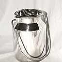 Stainless Steel Milk Can Totes (2 Liter)
