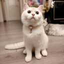 6 x Dog Costume,Handmade Girl Pearl Dog Necklace with Adjustable Clasp,Cute Small Collars for Birthday,Personalized Cat Costumes for Wedding Holiday Outgoing