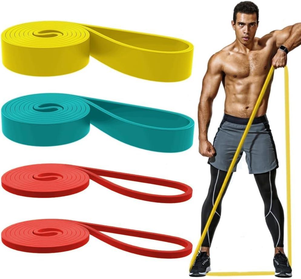 Resistance Bands Set, Pull Up Bands - Workout Bands, Eexercise Bands, Long Resistance Bands Set for Working Out, Fitness, Training, Physical Therapy for Men Women (Multicolor)