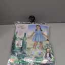 Rubies The Wizard of Oz: Dorothy Costume for Kids, Girl's Small (Large)
