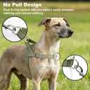No Pull Dog Harness with Handle, Adjustable Mesh Padded Reflective Walking Harness with Front Clip for Small Medium Large Dogs Quick Fit No Escape for Training and Hiking (Ranger Green, L)