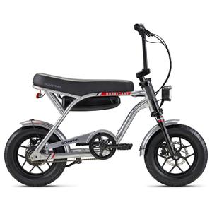 Schwinn Hurricane 14" eBike