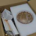 Glass Floor Lamp for Living Room,Bedroom,Gold Dimmable Standing Lamp with Remote,Mid Century Modern Brass Tall Lamp Boho Floor Lamps Arc Stained Flower Floor Light Lamp Girls Bohemian