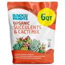 Back to the Roots 100% Organic Succulent & Cacti Mix (6 Quart) | Made in the USA | Premium Nutrition for Indoor and Outdoor Plants