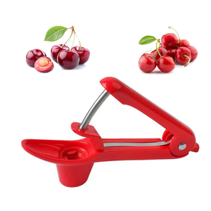 Everyday Fresh Culinary Cherry Pitter