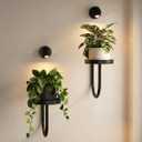 Leaf&lull Hanging Planters for Indoor Plants with Lights Wall Planter Holder Plant Stand Wall Hanging Decor 2 Pack Black