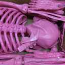 JOYIN 5 FT Halloween Skeleton Life Size, Stayable Posable Pink Skeleton Decor, Full Body Movable Joints Giant Skeletons for Halloween Decoration, Spooky Scary Graveyard Party, Haunted House Prop