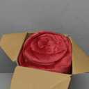 Bedsure GentleSoft Sherpa Fleece Throw Blanket Twin Size for Couch - Thick and Warm Throw for Girls and Women, Soft Fuzzy Plush Twin Christmas Blanket for Winter, Red, 60x80 Inches