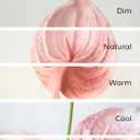 Ling's moment Artificial Anthurium Plants, 8pcs Shabby Blush Silk Filler Flower, Pink Faux Greenery Stems for DIY Wedding Bouquets Centerpieces Arrangements Bridal Shower Party Home Decorations