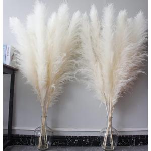 46" inch 10 Stems Cream Pampas Grass Decor Tall, Dry Flowers for Floor Vases Decor, Natural Dried Flowers for Wedding, Natural Home Decor, Wall Grass, Glam Decor