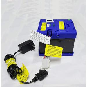 24 Volt Battery and Charger for Kids Battery Powered Ride On for Action for Motion Mega Tredz for Yamaha Grizzly for Monster Jam for Grave Digger for Thunder Halo Warthog