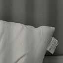 EDOW Throw Pillow Inserts, Set of 2 Lightweight Down Alternative Polyester Pillow, Couch Cushion, Sham Stuffer, Machine Washable. (White, 18x18)