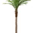 Artificial Phoenix Palm Tree 7ft Tall Outdoor Indoor Decor Fake Plants with 15 Adjustable Leaves, Large Faux Sago Palm Tree for Home Office Living Room Yard Outside Patio Poolside (1, 7ft)