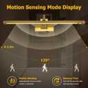 DESOOP Wireless Brass Picture Lights for Wall Motion Activated, Motion Sensor Art Lights Auto-Off Gallery Lights for Portraits Display 24 Inch 5W Warm White