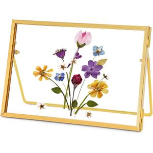 Glass Pressed Flower Frame Handmade, Glass Floating Picture Frames Tabletop Brass Photo Frame for DIY Dried Flowers Home Plant Specimen, Rectangle Horizontal 46 inches,Gold (FRAME ONLY) (6L" x 4W")