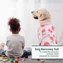Kuoser Recovery Suit for Dogs Cats After Surgery, Professional Pet Recovery Shirt Dog Abdominal Wounds Bandages, Substitute E-Collar & Cone,Prevent Licking Dog Onesies Pet Surgery Recovery Suit (White, XS)