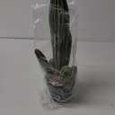 Artificial Cactus Fake Cactus 16 Inch Faux Cacti Plants for Home Garden Office Store Decoration