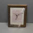 Wemandh Vintage Gold Framed Wall Art, Hummingbird Canvas Prints , Living Room Bedroom Wall Art Decor, Ornate Antique Style Picture Frame, Victorian Botanical Bird Illustration painting (Framed, 8" x 10")