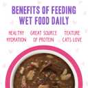 Weruva B.F.F. OMG - Best Feline Friend Oh My Gravy!, Rainbow A Gogo Variety Pack! Cat Food, 3oz Pouch (Pack of 12) (0.08 Ounce (Pack of 12))