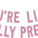 BEISHIDA Pink You're Like Really Pretty Glitter Banner,NO DIY, Pre-Strung Mean Girls Birthday Party Bachelorette Party Decorations,Birthday Gift for Girl