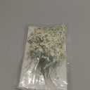 150Pcs Mini Dried Pressed White Babys Breath Flowers Bulk - Real Natural Flat Flowers for Epoxy Craft, Scrapbooking, Wedding Invitations, Home Decor, DIY Gifts for Crafters & Event Planners (150)