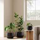 LE TAUCI Ceramic Planters, 12 Inch Pots for Plants, Indoor Plant Pots with Drainage Holes and Saucers, Modern Planters Fit Mid Century Plant Stand, Flower Pots for Indoor Plants, Black
