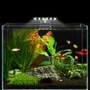 WEAVERBIRD Aquarium Light Fish Tank LED Light 6W 12 LED Planted Clip Lamp for 8-15Inch 6mm Thick Fish Tanks