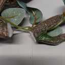 AQUA KT Reptile Corner Climbing Branch with Plant Snake Climb Tree for Bearded Dragon Lizard Hermit Crab Crested Gecko Leopard Chameleon Frog Terrarium Habitat