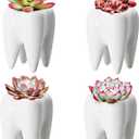 YOFIT Modern Style Teeth Pots Ceramic Flower Pot for Dental Gifts, White Succulent Cactus Bonsai Planter Container for Dental Office Decor, 3.7" Set of 4
