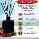 Urban Naturals Holiday Cheer Reed Diffuser Set Cranberry, Cinnamon, Evergreen, Cedar & Smokey Wood 5 Ounce Sleek Black Rectangular Refillable Glass Bottle Made in the USA