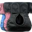 Kitty Bum Bums Reusable Cat Diapers and Stud Pants to Prevent Pee Marking - with Adjustable Tabs to Fit (Pack of 3) (Small)