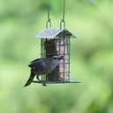 Wild Wings Decorative Metal Suet Cage Feeder for Outdoor Dcor Wild Bird Feeders, 1 Suet Cake Capacity, Hanging Suet Feeder, Black