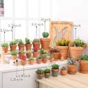 2 x Yishang 2.5 inch Terracotta Pots with Drainage Holes,Small Mini Clay Ceramic Pottery Planter,Cactus Flower Terra Cotta Pots,Succulents Nursery Pots for Indoor/Outdoor Plants,Crafts,Wedding-12 Pack