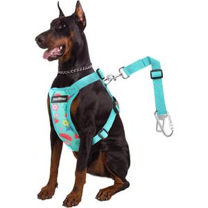 Dog Vehicle Safety Vest Harness, Adjustable Soft Padded Mesh Car Seat Belt Leash Harness with Travel Strap and Carabiner for Most Cars, XXL Size, Lake Blue Flower Dog Vehicle Safety Vest Harness, Adjustable Soft Padded Mesh Car Seat Belt Leash Harness with Travel Strap and Carabiner for Most Cars, XXL Size, Lake Blue Flower