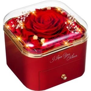 Forever Preserved Rose for Women Mum Wife Girlfriend Eternal Rose Flower Gift Box with Necklace for Her Ideal for Valentines Day Mother's Gifts Birthday for Women Anniversary (Red2)