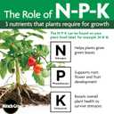 Miracle-Gro Water Soluble All Purpose Plant Food, Fertilizer for Indoor or Outdoor Flowers, Vegetables or Trees, 3 lbs.