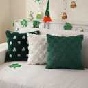 2 x St Patricks Day Pillow Covers 18x18 inch Set of 2 Green Lucky Shamrock Soft Plush Throw Pillows St Patricks Day Decorations for Bedroom Sofa Home Decor