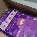 Miracle-Gro African Violet Potting Mix, 8qt, 2-Pack