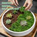 5.3oz Fake Moss for Crafts, Green Artificial Moss for Plants Indoor Outdoor