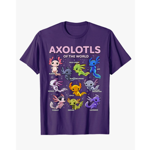 Axolotl Kawaii Axolotls of the World Axolotl Animals T-Shirt S