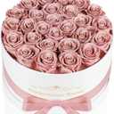 Perfectione Roses 27 Roses in a Box, Mothers Day Rose, Preserved Flowers for Her, Flowers for Delivery Birthday Gifts for Women (Dusty Rose)