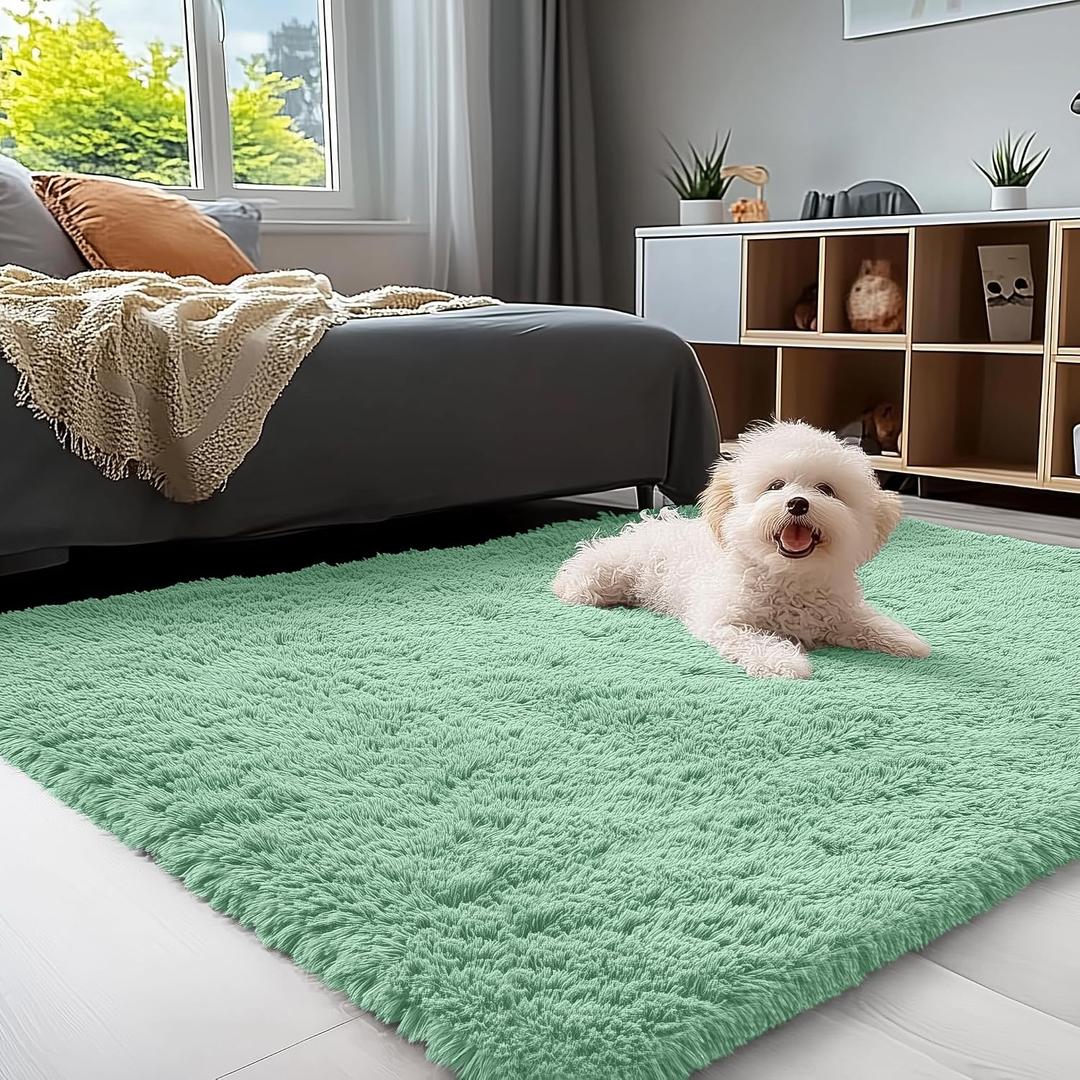 OLANLY 3x5 Machine Washable Small Bedside Rug, Soft Fluffy Shaggy Rugs for Living Room, Bedroom, Indoor Floor Carpet for Kids Girls and Boys, Preppy Dorms, Nursery, Home Decor Aesthetic, Mint Green